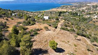 Οικόπεδο 6.211 τ.μ. προς πώληση, Αργολίδα, Κρανίδι-thumb-24