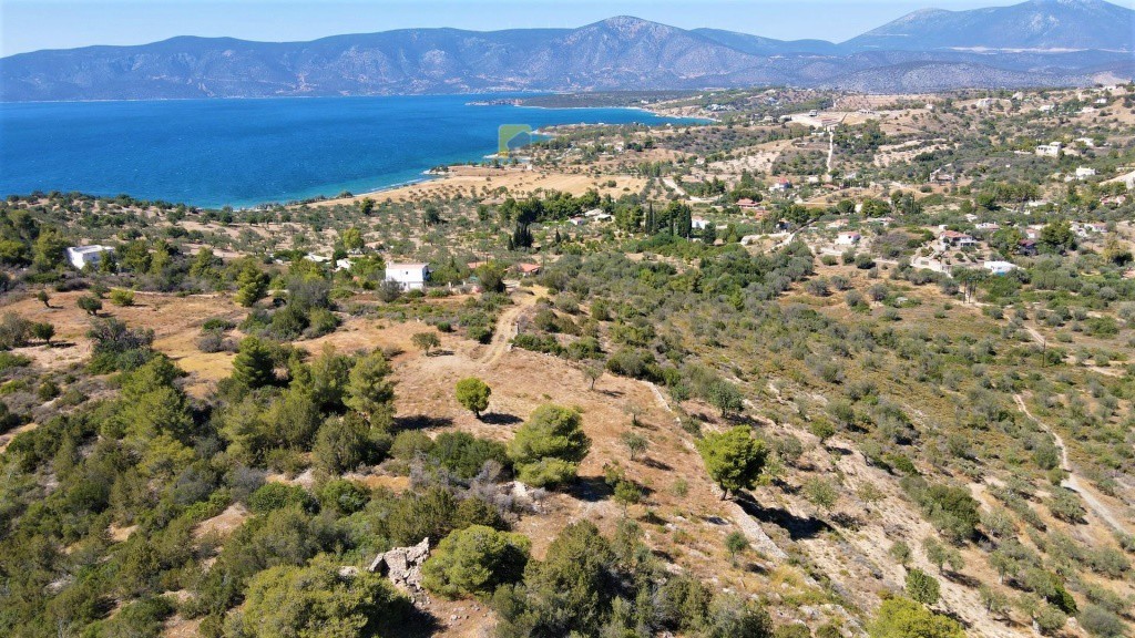 Οικόπεδο 6.211 τ.μ. προς πώληση, Αργολίδα, Κρανίδι