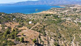 Οικόπεδο 6.211 τ.μ. προς πώληση, Αργολίδα, Κρανίδι-thumb-6