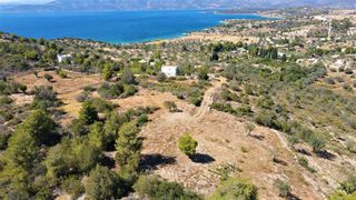 Οικόπεδο 6.211 τ.μ. προς πώληση, Αργολίδα, Κρανίδι-thumb-25