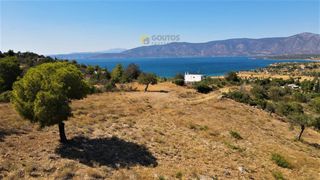 Οικόπεδο 6.211 τ.μ. προς πώληση, Αργολίδα, Κρανίδι-thumb-9
