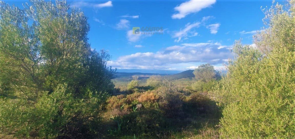 Αγροτεμάχια 10.000 τ.μ. για πώληση, Αργολίδα, Κρανίδι