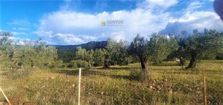 Αγροτεμάχια 10.000 τ.μ. για πώληση, Αργολίδα, Κρανίδι-thumb-9
