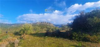 Αγροτεμάχια 10.000 τ.μ. για πώληση, Αργολίδα, Κρανίδι-thumb-5