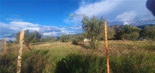 Αγροτεμάχια 10.000 τ.μ. για πώληση, Αργολίδα, Κρανίδι-thumb-12
