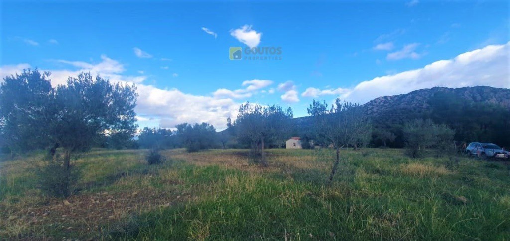 Αγροτεμάχια 10.000 τ.μ. προς πώληση, Κρανίδι