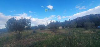 Αγροτεμάχια 10.000 τ.μ. για πώληση, Αργολίδα, Κρανίδι-thumb-2