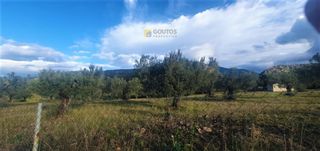 Αγροτεμάχια 10.000 τ.μ. για πώληση, Αργολίδα, Κρανίδι-thumb-10