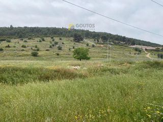 Οικόπεδο 7.000 τ.μ. για πώληση, Κορινθία, Σολύγεια-thumb-5