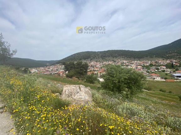 Οικόπεδο 7.000 τ.μ. για πώληση, Κορινθία, Σολύγεια