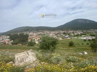 Οικόπεδο 7.000 τ.μ. για πώληση, Κορινθία, Σολύγεια-thumb-2