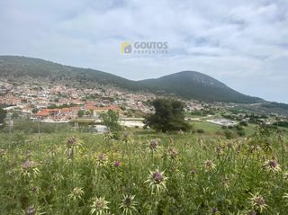 Οικόπεδο 7.000 τ.μ. για πώληση, Κορινθία, Σολύγεια-thumb-7