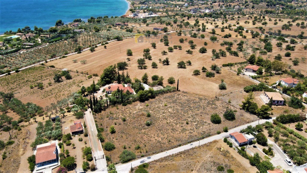 Αγροτεμάχια 6.000 τ.μ. προς πώληση, Αργολίδα, Κρανίδι