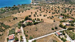 Αγροτεμάχια 6.000 τ.μ. για πώληση, Αργολίδα, Κρανίδι-thumb-1