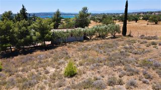 Αγροτεμάχια 6.000 τ.μ. για πώληση, Αργολίδα, Κρανίδι-thumb-10