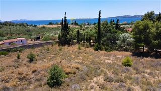 Αγροτεμάχια 6.000 τ.μ. για πώληση, Αργολίδα, Κρανίδι-thumb-9