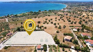 Αγροτεμάχια 6.000 τ.μ. για πώληση