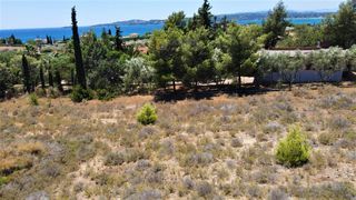 Αγροτεμάχια 6.000 τ.μ. για πώληση, Αργολίδα, Κρανίδι-thumb-6
