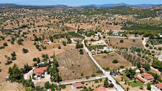 Αγροτεμάχια 6.000 τ.μ. για πώληση, Αργολίδα, Κρανίδι-thumb-2