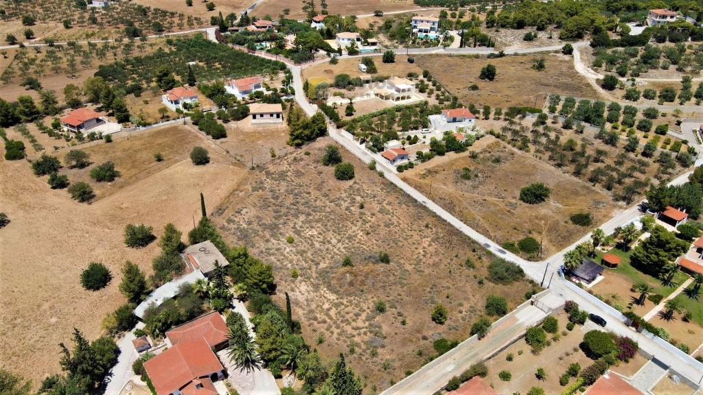 Αγροτεμάχια 6.000 τ.μ. προς πώληση, Αργολίδα, Κρανίδι