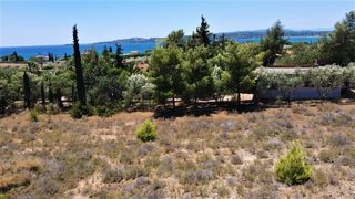 Αγροτεμάχια 6.000 τ.μ. για πώληση, Αργολίδα, Κρανίδι-thumb-8
