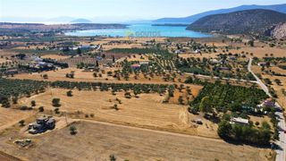 Μονοκατοικία 91,02 τ.μ. πρός πώληση, Αργολίδα, Κρανίδι-thumb-19