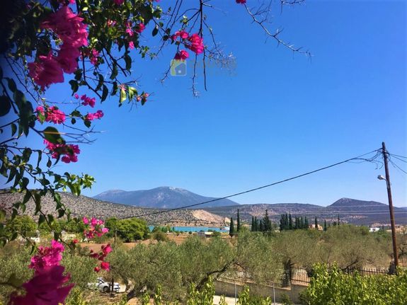 Οικόπεδο 2.146 τ.μ. για πώληση, Αργολίδα, Κρανίδι