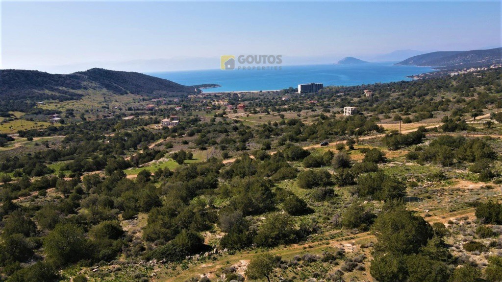 Οικόπεδο 1.036 τ.μ. προς πώληση, Σαλάντι