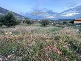 Οικόπεδο 802 τ.μ. για πώληση, Αργολίδα, Κρανίδι-thumb-1