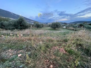 Land plot 802 sqm for sale