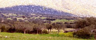 Οικόπεδο 10.054 τ.μ. προς πώληση, Φούρνοι Κρανιδίου-thumb-5