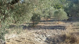 Οικόπεδο 10.054 τ.μ. προς πώληση, Φούρνοι Κρανιδίου-thumb-3