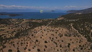 Οικόπεδο 10.054 τ.μ. προς πώληση, Φούρνοι Κρανιδίου-thumb-18