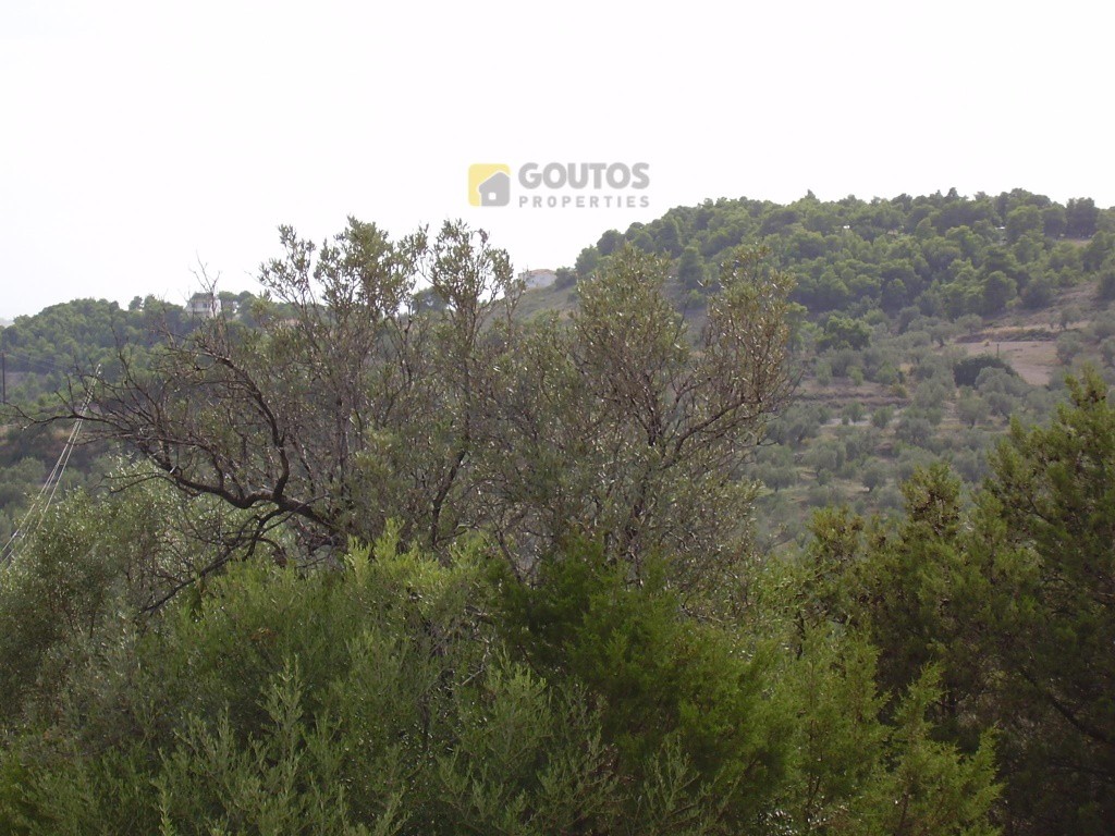 Οικόπεδο 10.054 τ.μ. προς πώληση, Φούρνοι Κρανιδίου