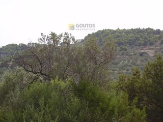Οικόπεδο 10.054 τ.μ. προς πώληση, Φούρνοι Κρανιδίου-thumb-4