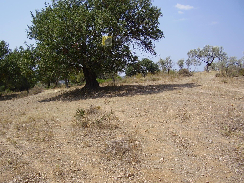 Οικόπεδο 10.054 τ.μ. προς πώληση, Φούρνοι Κρανιδίου