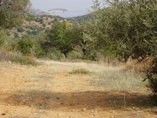 Οικόπεδο 10.054 τ.μ. προς πώληση, Φούρνοι Κρανιδίου-thumb-2