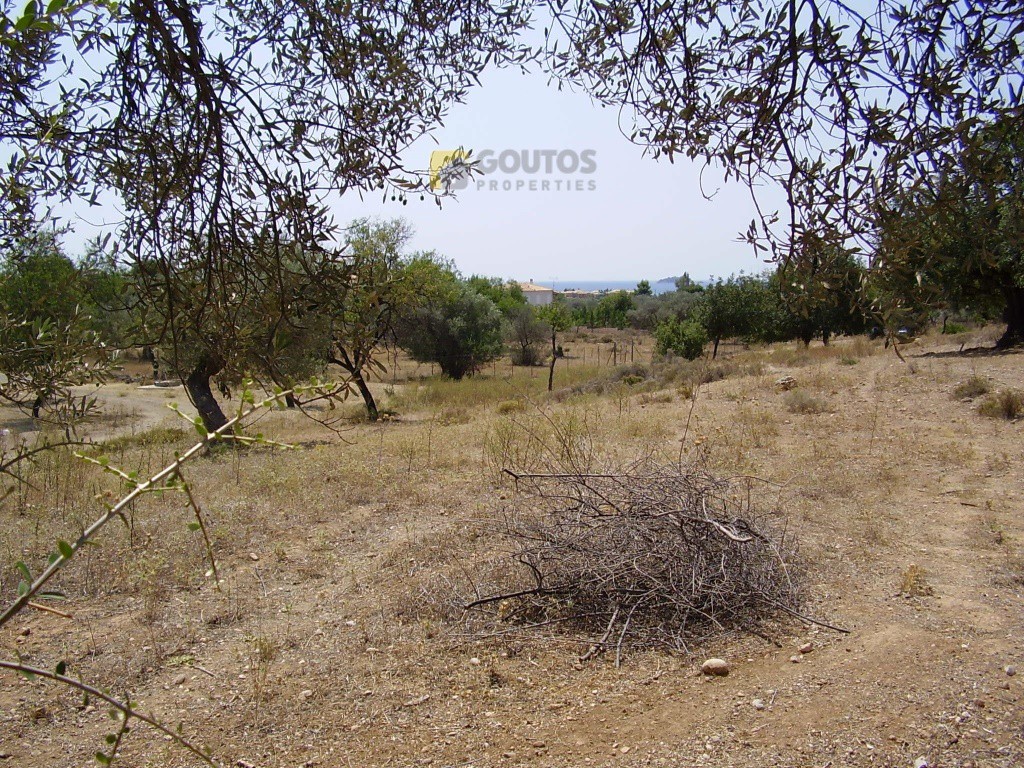 Οικόπεδο 10.054 τ.μ. προς πώληση, Φούρνοι Κρανιδίου