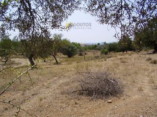 Land plot 10.054 sqm for sale