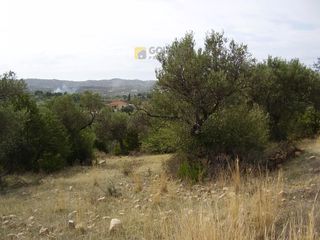 Οικόπεδο 10.054 τ.μ. προς πώληση, Φούρνοι Κρανιδίου-thumb-6