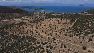 Οικόπεδο 10.054 τ.μ. προς πώληση, Φούρνοι Κρανιδίου-thumb-16