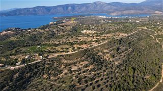 Οικόπεδο 100.000 τ.μ. πρός πώληση, Αργολίδα, Κρανίδι-thumb-18