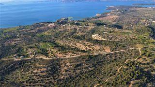 Οικόπεδο 100.000 τ.μ. πρός πώληση, Αργολίδα, Κρανίδι-thumb-13