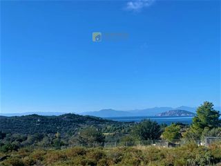 Οικόπεδο 100.000 τ.μ. πρός πώληση, Αργολίδα, Κρανίδι-thumb-7
