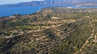Οικόπεδο 100.000 τ.μ. πρός πώληση, Αργολίδα, Κρανίδι-thumb-20