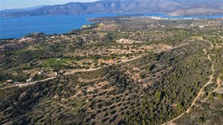 Οικόπεδο 100.000 τ.μ. πρός πώληση, Αργολίδα, Κρανίδι-thumb-19