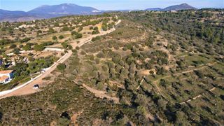 Οικόπεδο 100.000 τ.μ. πρός πώληση, Αργολίδα, Κρανίδι-thumb-15