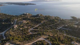 Αγροτεμάχια 26.000 τ.μ. για πώληση, Αργολίδα, Κρανίδι-thumb-8