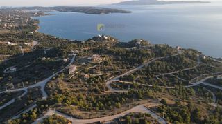 Αγροτεμάχια 26.000 τ.μ. για πώληση, Αργολίδα, Κρανίδι-thumb-18