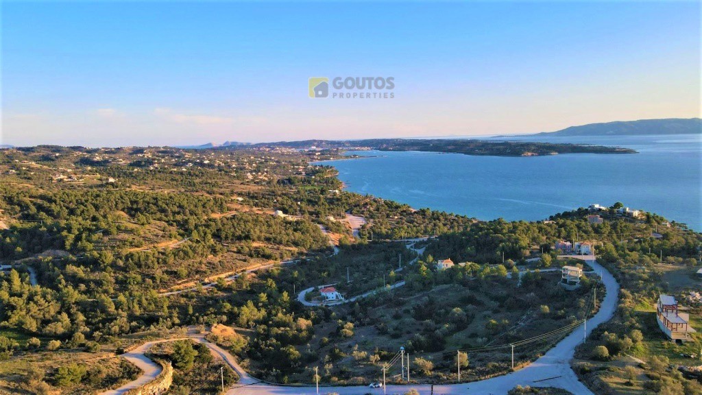 Αγροτεμάχια 26.000 τ.μ. προς πώληση, Βερβερούδα